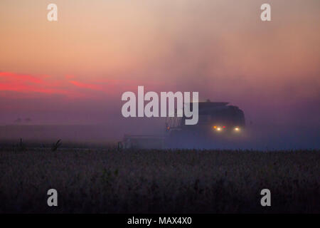 63801-06604 John Deere combine harvesting soybeans at sunset, Marion Co., IL Stock Photo