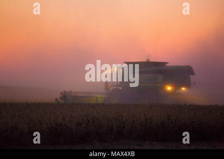 63801-06605 John Deere combine harvesting soybeans at sunset, Marion Co., IL Stock Photo