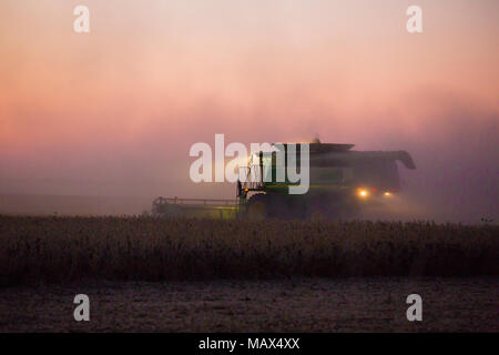 63801-06607 John Deere combine harvesting soybeans at sunset, Marion Co., IL Stock Photo