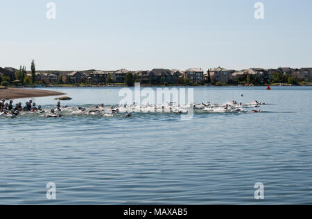 Competitors take to the water for the open water swim portion of a Lake Chapparel Sprint Triathlon in Calgary, Alberta. Stock Photo