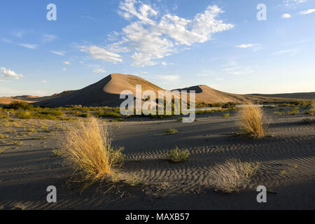 ID00676-00...IDAHO - Dunes in Bruneau Dunes State Park. Stock Photo