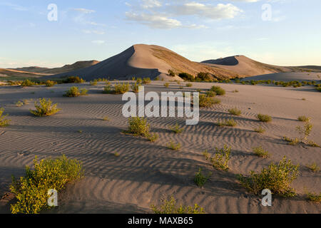 ID00679-00...IDAHO - Dunes in Bruneau Dunes State Park. Stock Photo