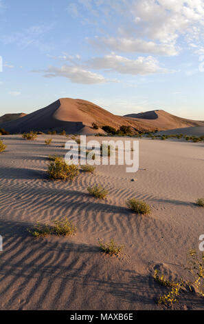 ID00680-00...IDAHO - Dunes in Bruneau Dunes State Park. Stock Photo