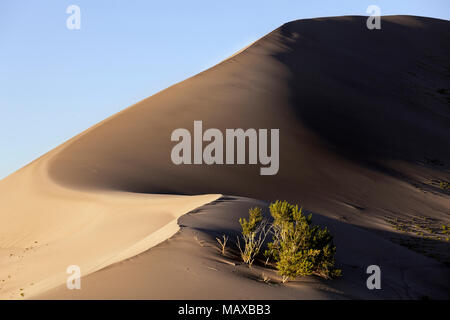 ID00691-00...IDAHO - Dunes in Bruneau Dunes State Park. Stock Photo