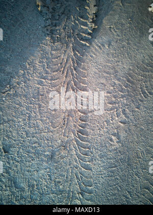 Car tracks in the snow in the Parking lot. Stock Photo
