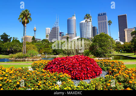 Sydney city skyline and CBD and the Royal Botanic Gardens, Sydney, New South Wales, Australia Stock Photo
