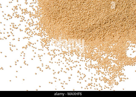 amaranth, amaranthus seeds healthy food background, wallpaper Stock Photo