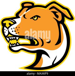 Mascot icon illustration of head of an angry American Staffordshire Terrier or Amstaff, a medium-sized, short-coated American dog breed in the pit bul Stock Vector