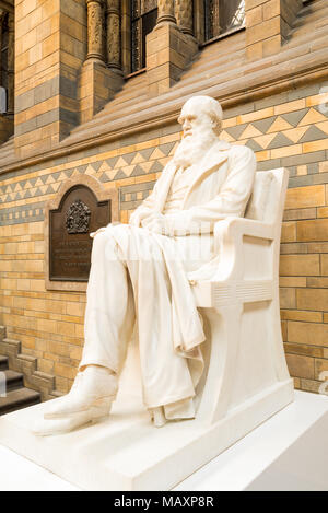 Statue of Charles Darwin in the main hall of the Natural History Museum, London, UK Stock Photo