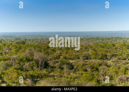 Kruger National Park, Mpumalanga, South Africa Stock Photo