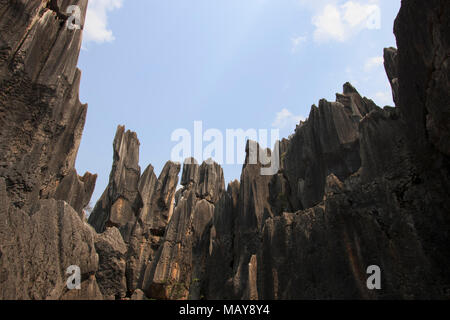 Stone forest in Kunming, Yunnan province, China  also know as Shilin Stock Photo