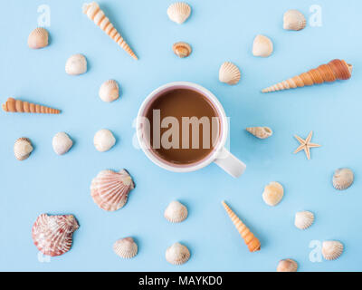 Many different sea shells on a blue background Stock Photo