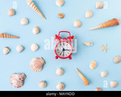 Many different sea shells on a blue background Stock Photo