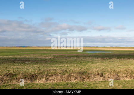 Close to Seasalter and Graveney on the north Kent coast, the potential site for the Cleve Solar Farm. Stock Photo