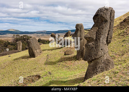 Moais in Rano Raraku, Rapa Nui National Park, Easter Island, Rapa Nui Island, Easter Island, Chile Stock Photo