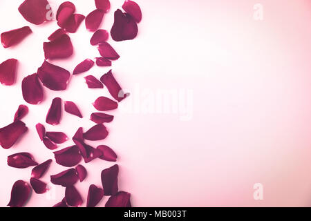 red rose flower petals with copy space on white background Stock Photo