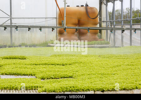 automatic watering seedlings sprinkler