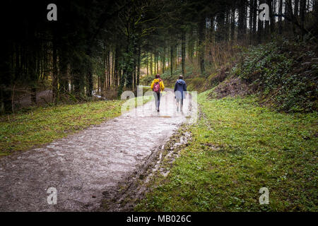 Two people walking along a track in Cardinham Woods in Bodmin in Cornwall. Stock Photo