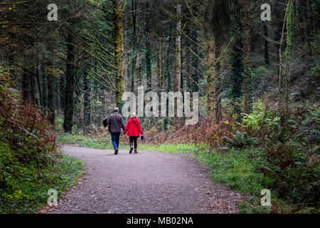 A couple walking along a track running through Cardinham Woods in Bodmin in Cornwall. Stock Photo