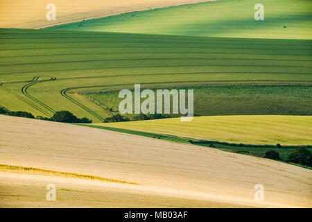 Summer afternoon in South Downs National Park. Stock Photo