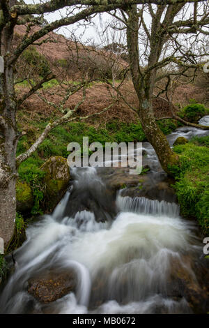 A stream or waterway running down through the hillside at the cottage valley near pendeen or saint just in cornwall. Movement in natural watercourse. Stock Photo