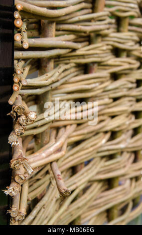 GLASGOW, SCOTLAND -JULY 3RD 2013: A close-up of a tidy example of a randing weave which is made of live willow. Stock Photo