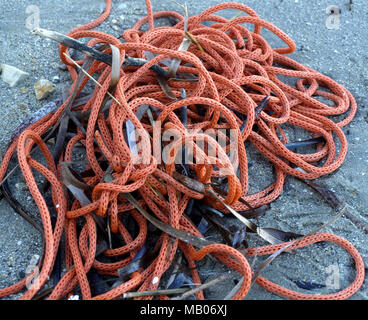 Old rope washed up on beach Stock Photo