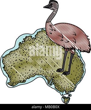 ostrich australian continent map animal wildlife vector illustration ...