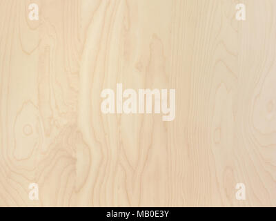 Subtle light brown tan smooth birch wood grain abstract background surface Stock Photo