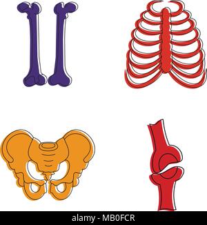 Human bones icon set, color outline style Stock Vector