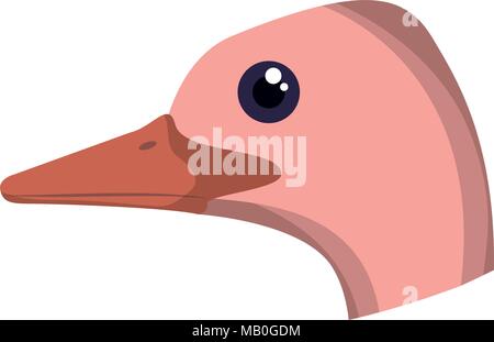 wild ostrich australian bird head Stock Vector