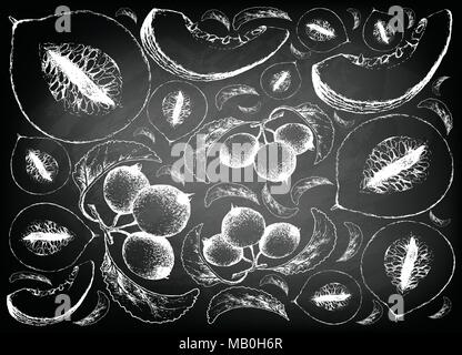 Exotic Fruit, Illustration Wallpaper Background of Hand Drawn Sketch of Casaba Melon and Crabapple or Malus Fruits on Black Chalkboard. Stock Vector