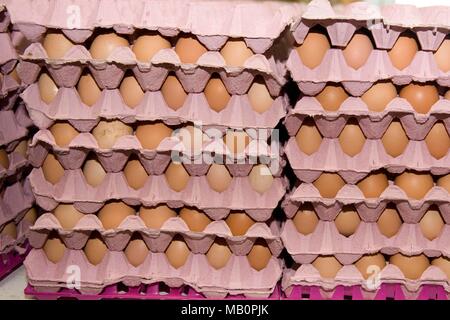 eggs in trays Stock Photo