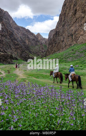 Horsetrekking in the Yolym Valley, Gobi Desert, Mongolia Stock Photo