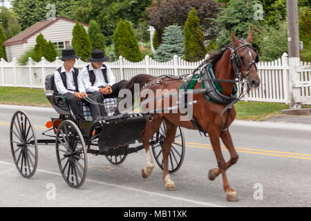 Bird-in-Hand, PA, USA - June 17, 2012: An open Amish buggy used for transportation used by two young men on a rural road in Lancaster County, PA. Stock Photo