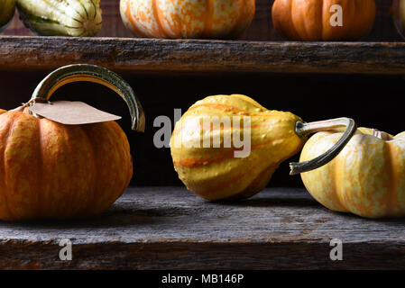 Closeup of a farm stand with Autumn vegetables including gourds, pumpkins and squash. Stock Photo