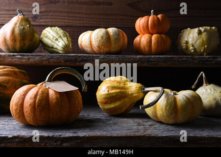 Farm stand with Autumn vegetables including gourds, pumpkins and squash. Stock Photo