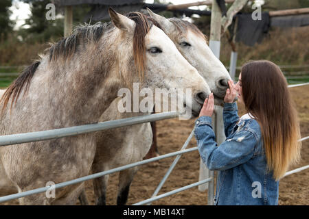 Young woman giving affection to some horses in a refuge of the province of Alicante in Spain. Stock Photo