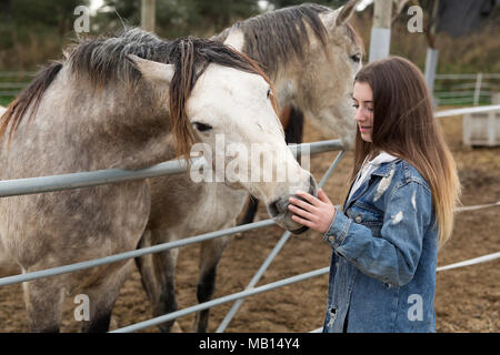 Young woman giving affection to some horses in a refuge of the province of Alicante in Spain. Stock Photo