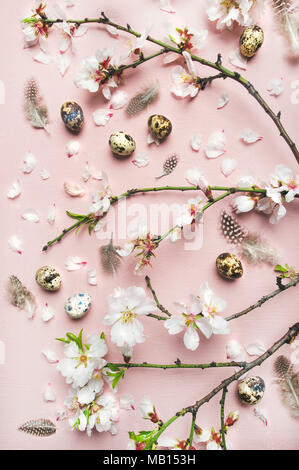 Easter holiday background. Flat-lay of tender Spring almond blossom flowers on branches, feathers, quail eggs over light pink background, top view, ve Stock Photo