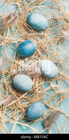 Blue painted traditional eggs for Easter in hay and feathers over blue background, top view, vertical composition Stock Photo