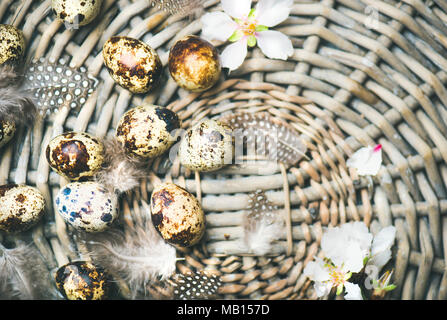 Easter holiday background. Flat-lay of natural colored quail eggs, tender almond blossom flowers, feather in basket, top view, copy space, horizontal Stock Photo