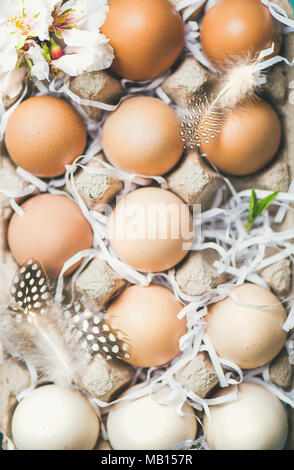 Easter holiday background. Flat-lay of natural colored eggs in box, tender almond blossom flower and feather over, top view, close-up. Greeting card c Stock Photo