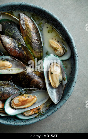 Kiwi mussels cooked in marinier sauce with white wine and parsley in hand-crafted blue ceramic plate on gray background Stock Photo