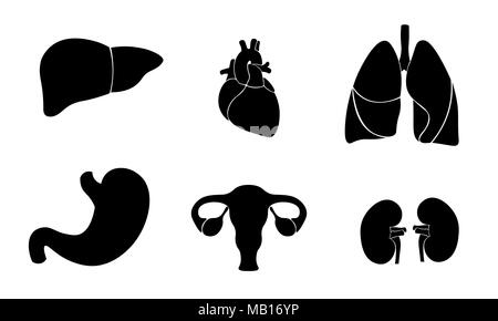 Human organ icon symbol medicine logo set. Heart kidney lungs womb stomach liver innovation medical flat color center vector illustration Stock Vector
