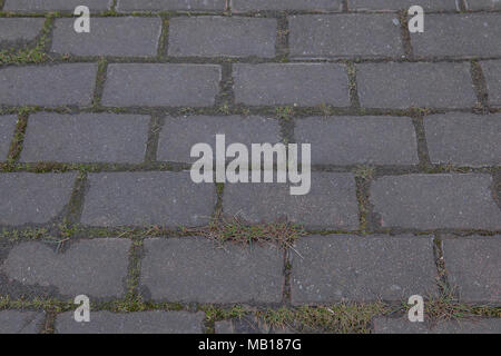 texture, background. The pavement of granite stone. Paved roadway street. any paved area or surface. Old cobblestone road pavement texture, grass between stones Stock Photo