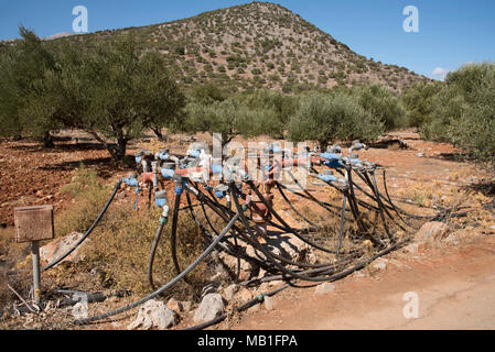 Crete, Greece. Irriagtion pipes on a Olive producing farm near Krista Stock Photo