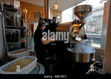A person operates a Diedrich IR5 coffee roasting machine with freshly roasted coffee beans pouring out, River Trail Roasters, Redmond, Washington. Stock Photo