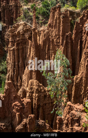 Sandstone Cliffs near Gesergio, Great Rift Valley, Ethiopia Stock Photo