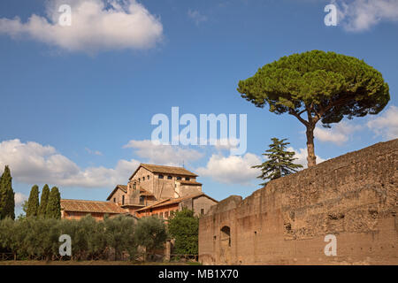 San Bonaventura al Palatino, the 17th century Franciscan monastery on Palatine Hill in Rome, Italy. A Stone Pine can be seen over the wall, these tree Stock Photo